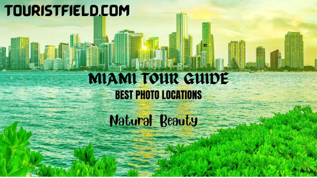 Miami Tour Guide