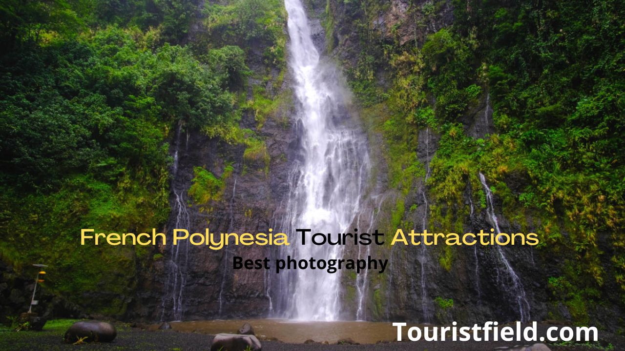 french-polynesia-tourist-attractions-top-attractions-tourist-field